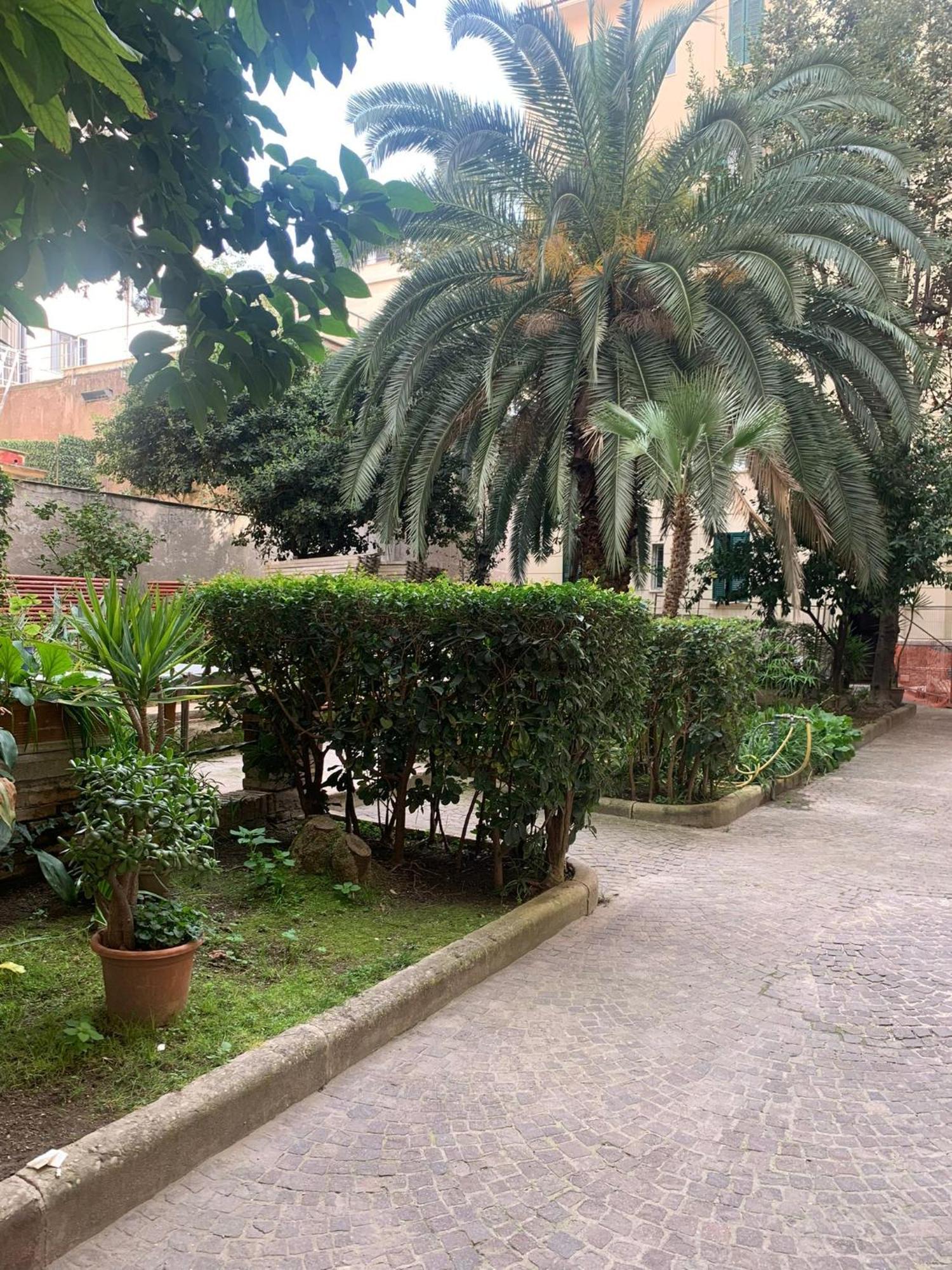 Candia Delizioso Appartamento Vicino Al Vaticano ローマ エクステリア 写真